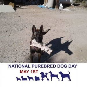 Meet your Posher, Cathy